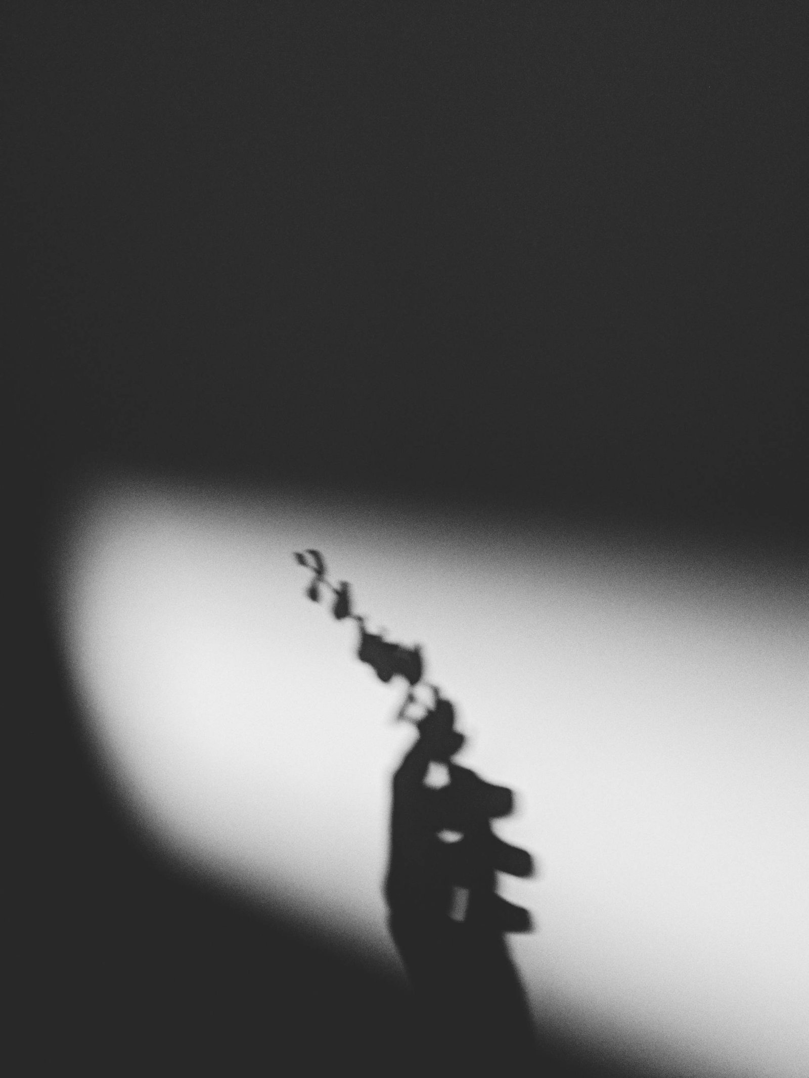 Artistic monochrome image of a silhouette hand holding eucalyptus branches against a shadowed background.