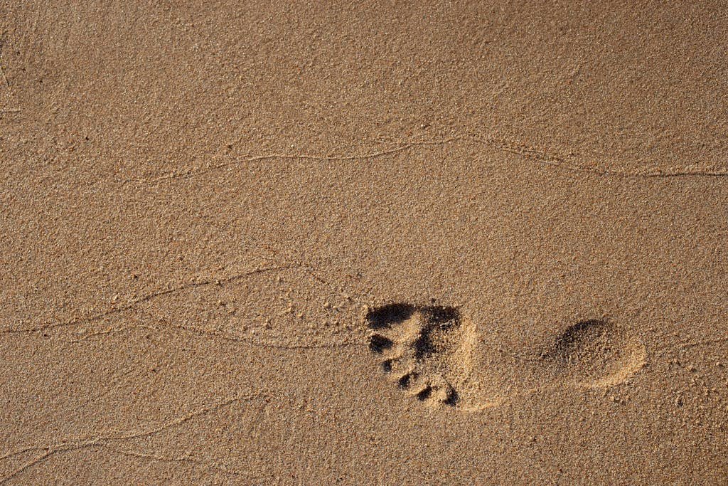 Single footprint impression on a sandy beach under bright daylight.